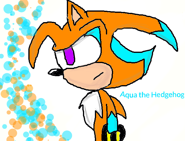 Aqua the Hedgehog by arteest76 on DeviantArt