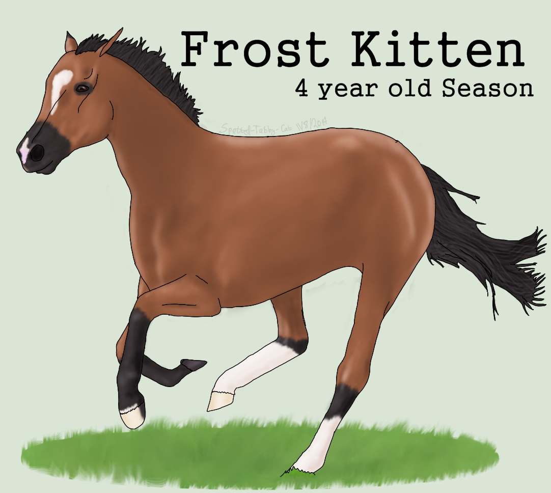 Kittenish Tendencies by SpottedTabbyCat on DeviantArt