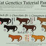 Cat Genetics Tutorial Part 1 (Base Colors)