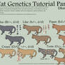 Cat Genetics Tutorial Part 2 (Dilute Colors)