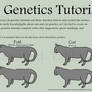 Cat Genetics Tutorial Part 11 (Ears)