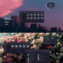 Catppuccin Refresh Icon Collection v.Final