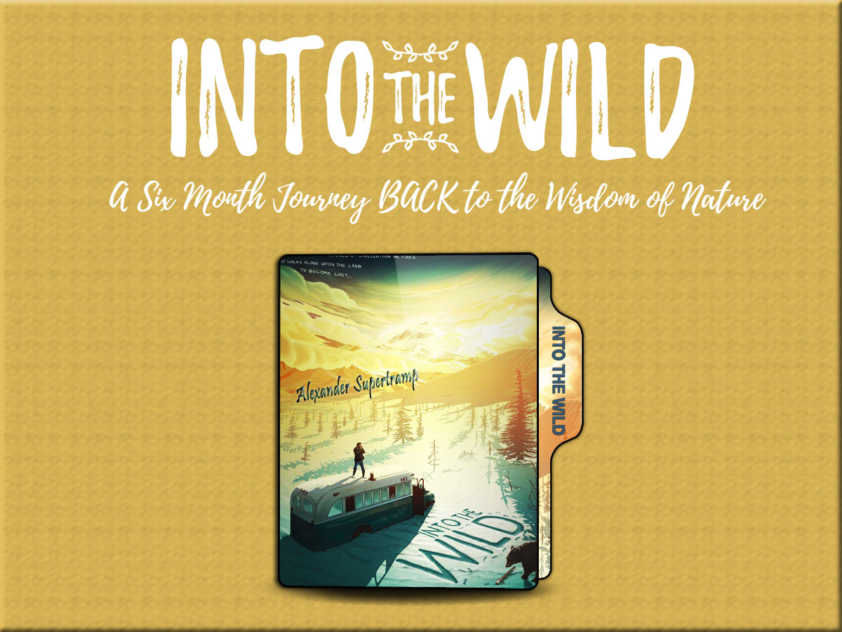 Into The Wild Folder Icon by canibazemore on DeviantArt