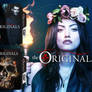 Originals Main Folder Icon