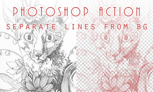 Photoshop Action: separate lines from BG