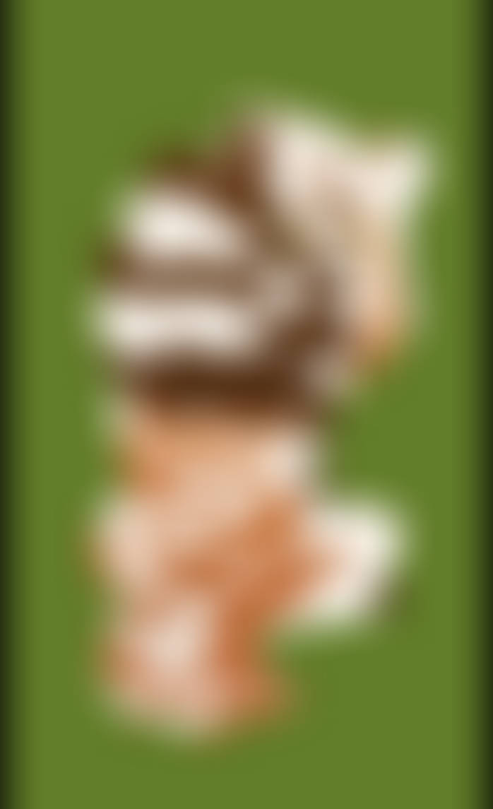 I Put a Time Lapse in your Time Lapse by Leviatanochelys on DeviantArt