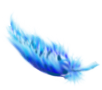 Low Res Small Feather