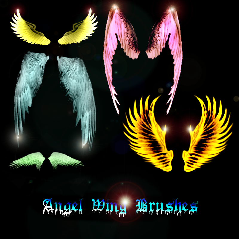 Belladona-Fairy Angel Wings