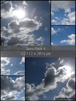 Skies Pack 4