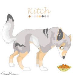 Kitch - Character Sheet