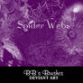 Spider Webs