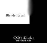 Blender Brush