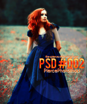 PSD #002