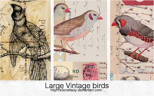 Large vintage birds