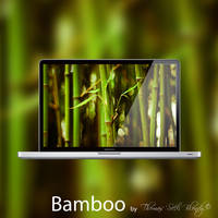 Bamboo by Thomas 'Seth' Blondy