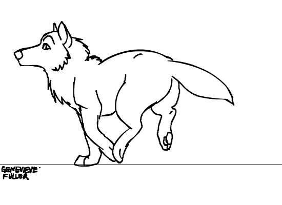 Wolf Movement Study Animation by Rapidmare on DeviantArt