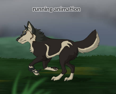 wolf link animation by zelda freak91 on