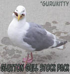 Glutton Gull Pack by gurukitty