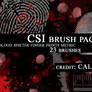 'CSI' brush set