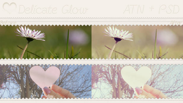Delicate Glow - PSD and ATN