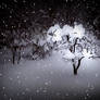 Winter night - Screensaver