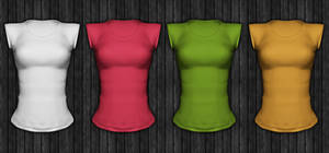 Ladies Short Sleeved Shirt Template psd file