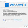 Media files Windows 11
