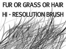 Fur_Grass Or Hair HiRes Brush