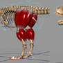 T.rex muscle system test animation