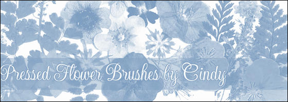 Pressed Flower Brushes