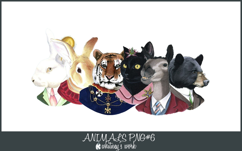 THE ANIMALS PNG