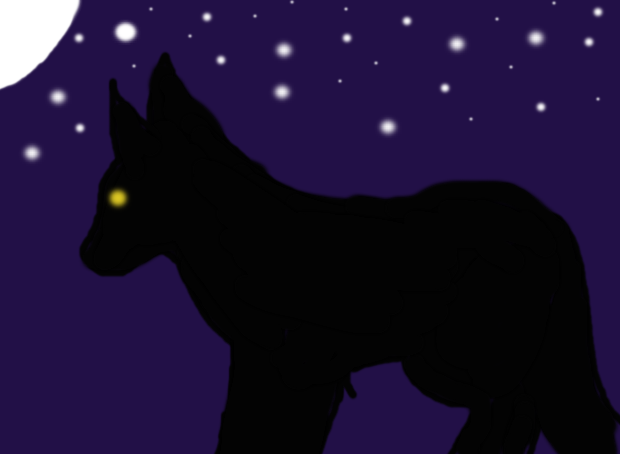 Wolf in the Night by WeenusLover12 on DeviantArt