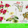 Chinese flowers PNG.