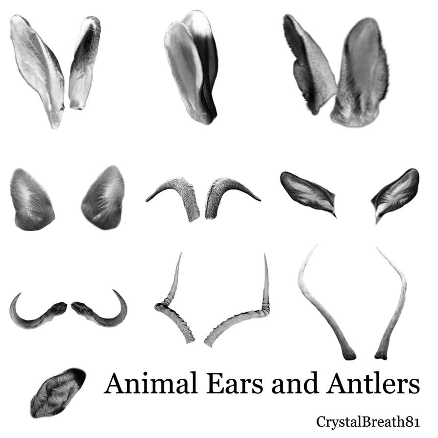 Animal Ears and Antlers by crystalbreath81 on DeviantArt