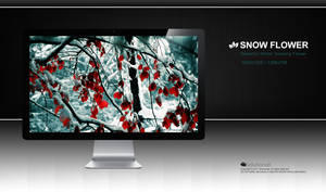 Snow Flower HD Wallpaper