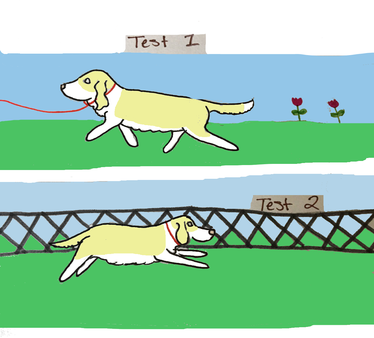 Brittle MKC Puppy Recall Training Program by BretonNS on DeviantArt