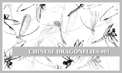 PS7 Brushes: Chinese D-flies