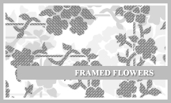 PS7 Brushes: Framed Flowers