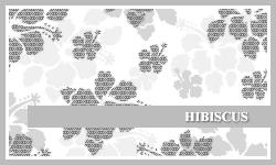 PS7 Brushes: Hibiscus