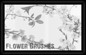 Flower brushes