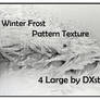 Winter Frost Pattern Textures