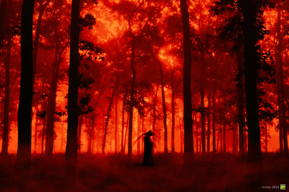 Мокрые леса загорались величественными багряными. Кровавый лес. Страшный красный лес. Окровавленный лес. Кровавый пейзаж.