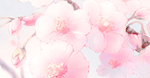 Sakura Divider by Virus-Xenon