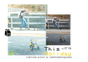 Lightroom Preset : This Holiday (japan tone)