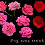 Png Rose Stock Pack