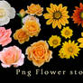 Png Flower Stock Pack