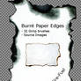 Burnt Paper Gimp Brushes