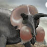 New Look Triceratops?