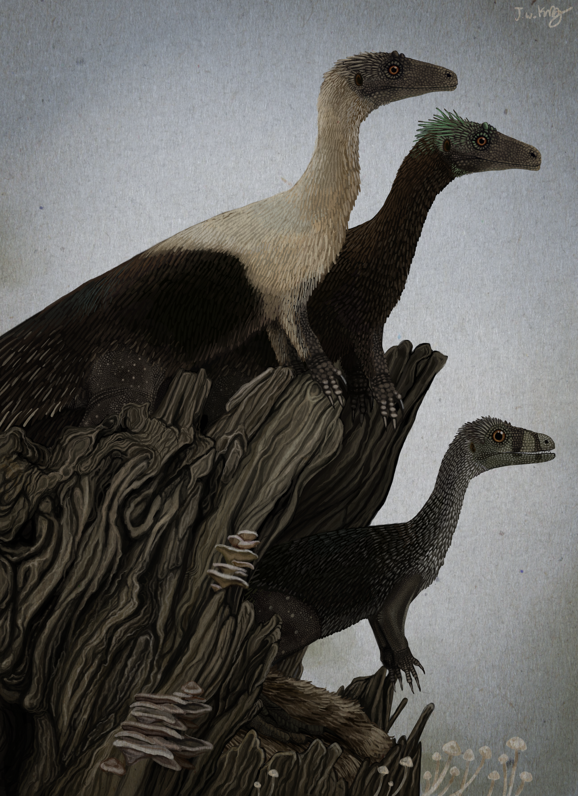 Eoraptor Family