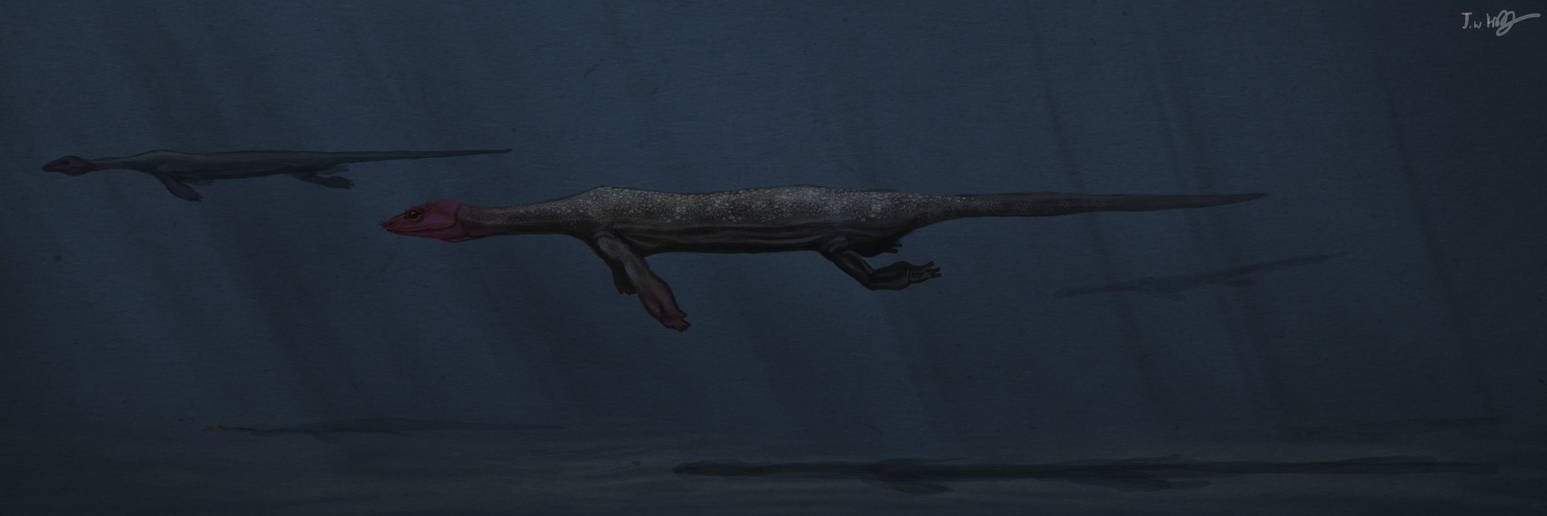 Speed Paint Lariosaurus by KirbyniferousRegret on DeviantArt